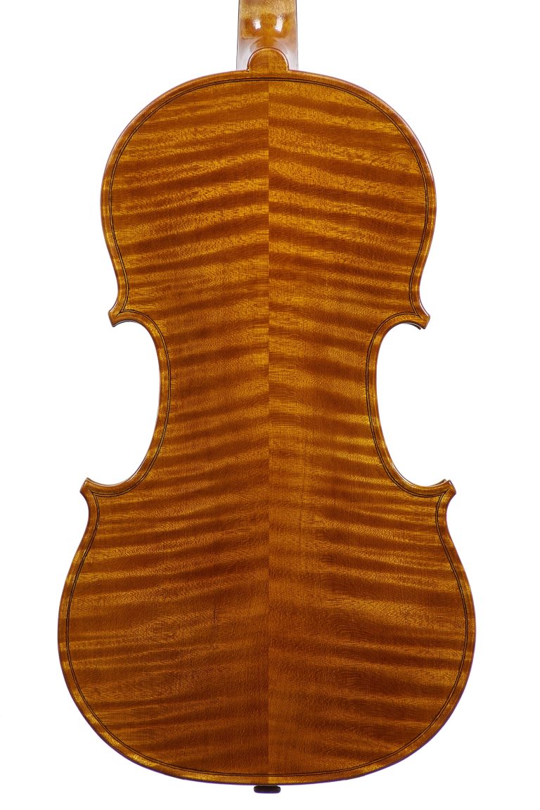 Parmaviolin-2026-Giacomo-Cattelan-back